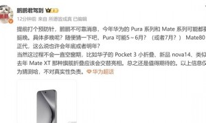 传华为Pura80系列或延期至7月 Mate80系列今年缺席