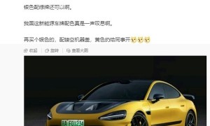 雷军建议“优化新能源汽车号牌设计” 拓展号牌智能化功能
