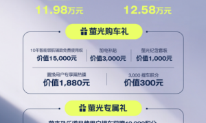 蔚来萤火虫正式上市：最低11.98万元 租电池还能更低？