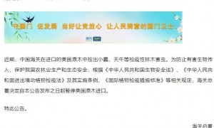 海关总署：暂停进口美国原木