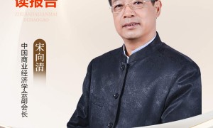 宋向清：高水平制度型开放为企业“出海”提供四大机遇
