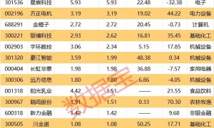 买买买！知名QFII持仓曝光，中东土豪加仓“大矿主”