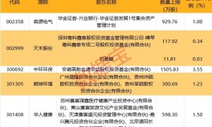 10股获杠杆资金大手笔加仓