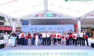 安顺：多元赋能 共绘协作新篇