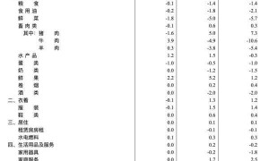 国家统计局：2025年4月份CPI同比下降0.1%