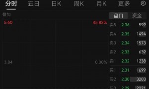 暴跌超40%！两只A股股票今天进入退市整理期