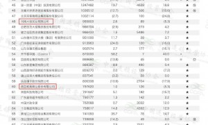 河南4家企业上榜，2024年中国连锁百强名单公布