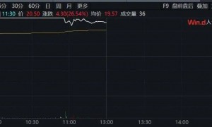 8分钟，垂直20%涨停！突发利好，这个板块大爆发