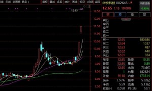 9分钟，20%涨停！A股这一赛道，异动！