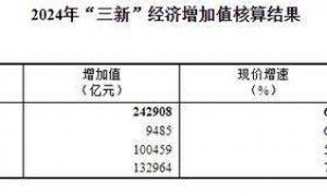2024年我国“三新”经济增加值占国内生产总值的比重为18.01%