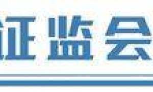 坚持高水平对外开放 中国资本市场凸显磁吸效应