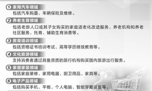 个人消费贷迎“国补” 银行火速安排培训确保贴息快速落地