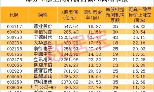午后突发，605303跌停！融资余额逼近历史峰值，低市盈率+绩优+杠杆资金加仓股揭晓