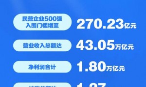 新华社权威快报丨“2025中国民营企业500强”发布