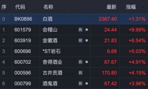A股超级赛道，多股涨超10%！