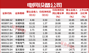 从亏损到暴增497倍！电网设备行业“逆袭王”名单出炉