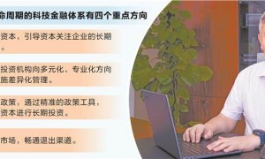 专访南方科技大学副校长金李：促进“四链”融合 构建更具活力的国家创新体系