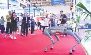 我国首次发布对外投资活跃度指数