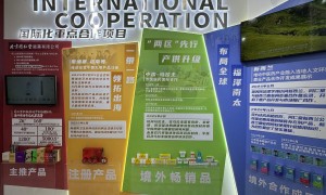从服贸会看中国经济新亮点：中医药服务贸易加速，全球共享健康愿景照进现实