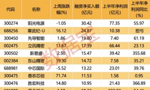 储能爆发，“宁王”一度涨超14%！两融余额连续12周增长，融资客大手笔扫货名单出炉