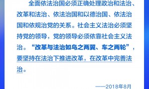 良法善治丨依法治国，总书记这些用典寓意深刻