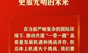 全面推动共建“一带一路”高质量发展，习近平这样强调