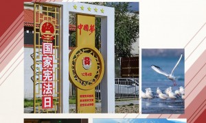 良法善治丨“改革和法治如鸟之两翼、车之两轮”