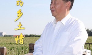 微纪录片｜习近平的乡土情