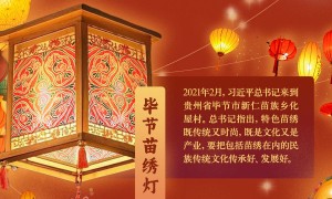 学习进行时丨花灯长廊 情深意长