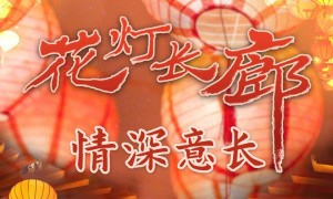 为了这条花灯长廊，网友们纷纷作起了诗！