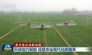 【新思想引领新征程】科技加力赋能 绘就农业现代化新图景