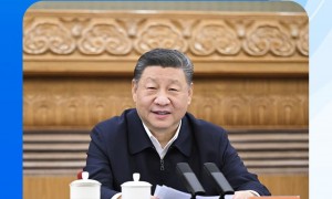 时政微观察丨民营经济大显身手正当其时
