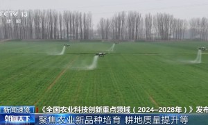 建设农业强国如何走好1年、3年、5年、10年这几步