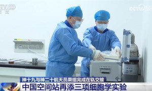 中国空间站“上新”三项细胞学实验 一起期待揭开更多“生命密码”