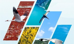 近观“两山”丨多彩中国