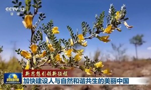 新思想引领新征程丨加快建设人与自然和谐共生的美丽中国