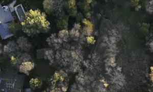 习近平与外国友人的故事｜邦尼街2911号里的友谊