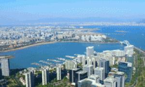 微视频｜鹭岛新篇 向海而歌