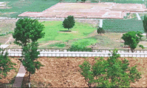 总书记关心的世界文化遗产｜万里丝路颂长歌