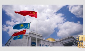 时政画说丨又到石榴花开时