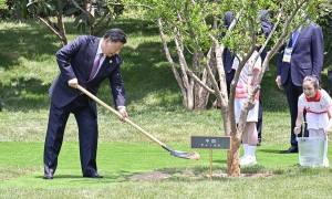 学习进行时丨乘风破浪、勇毅前行——习近平主席推动中国同中亚五国友好合作的故事