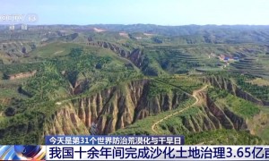 给沙漠戴上“绿围脖” 我国十余年间完成沙化土地治理3.65亿亩
