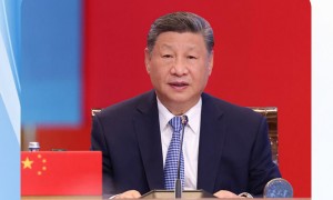 时政微观察丨石榴花开满枝头