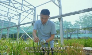 等等，等等，脑洞跟不上了……