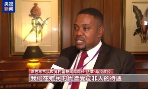 非洲各界：中国在世界反法西斯战争中的贡献应被世界铭记