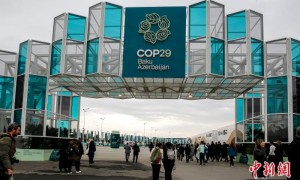 COP29进行时：从低碳治理到气候融资，国际社会聚焦“中国方案”