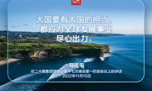 习近平：伙伴精神是二十国集团最宝贵的财富