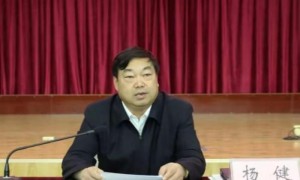 副州长杨坤、原州长杨健，同日通报被查！