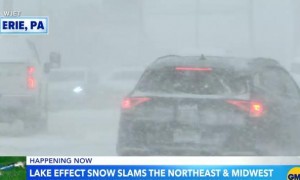 降雪天气持续！美国多地发布警告，进入紧急状态