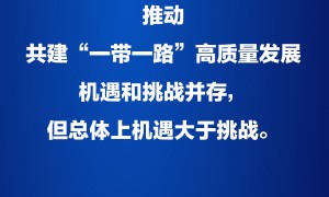 习近平：开创共建“一带一路”更加光明的未来